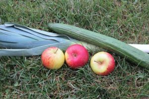 Zahngesunde Ernährung: Richtige Ernährung für deine Zähne Zahngesunde Ernährung: Richtige Ernährung für deine Zähne