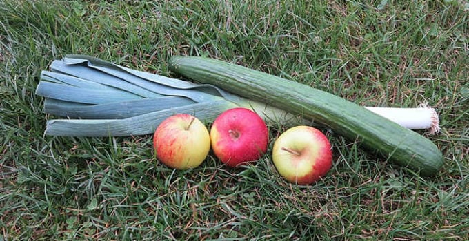 Ernährung für die Zähne