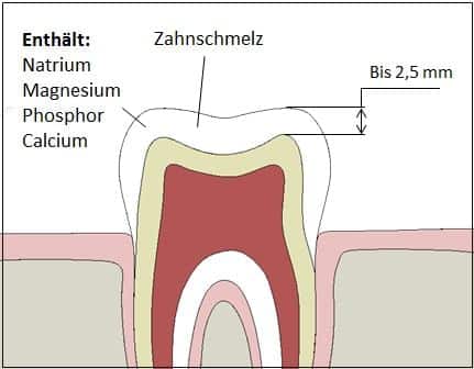 Zahnschmelz Bestandteile